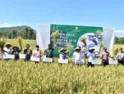 Tegaskan Komitmen Ketahanan Pangan Ponorogo, Kang Bupati Sugiri Adakan Panen Raya