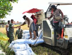 Pastikan Sergab Petani Sesuai Target, Dandim Ponorogo Tinjau Langsung ke Sawah