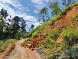 Tanah Longsor Lumpuhkan Jalan Penghubung Bandar–Jeruk, Warga Minta Penanganan Cepat