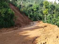 Pemkab Kabupaten Pacitan Gerak Cepat Tangani Tanah Longsor Jalan Bandar Jeruk