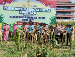 Polres Madiun Kota Panen Raya Jagung, Dukung Ketahanan Pangan Nasional
