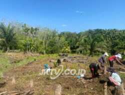 Kades Pardasuka Kecamatan Maje, Novan Arian : Aspek Kekuatan Desa Utamanya Ketahanan Pangan 