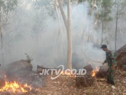 Reaksi Cepat, Babinsa Kodim Ponorogo, Perhutani dan Dinas Terkait Berhasil Padamkan Kebakaran Hutan