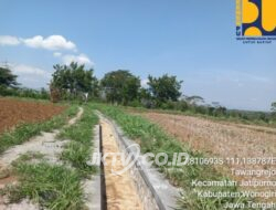 Program P3/TGAI Tahun 2025 di Desa Jatisrono Sukses dan Tepat Sasaran