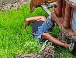 Laporan WargaTanpa di Respon, Kabel Listrik Rendah Membawa Korban