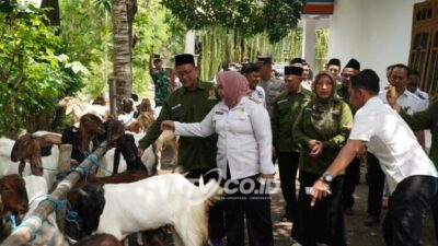 Plt. Bupati Lisdyarita Secara Langsung Ikut Serahkan Bantuan Sosisl Baznas Provinsi Jatim 2025