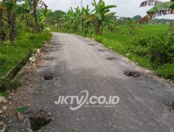 Proyek Jalan Rigid Beton BKD 2025 di Sambong Dipertanyakan Warga, Paving Blok Ditimbun Tanpa Dibongkar