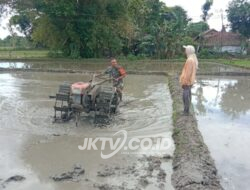 Pendampingan Petani, Babinsa Kodim Ponorogo Bantu Bajak Sawah