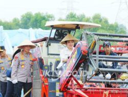 Kapolri dan Ketua Komisi IV Pimpin Panen Raya Jagung Serentak, Wujud Nyata Dukung Ketahanan Pangan Nasional