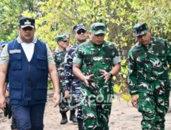 Korem 081/DSJ Tanam 10.800 Mangrove dan Tanaman Keras di Pacitan