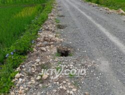 Terkait Proses Pengerjaan Jalan BKD Desa Sambong Diduga Kurang Benar, Camat Ngasem Angkat Bicara