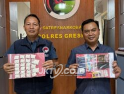 Keberhasilan Polres Gresik, 1.169 Pil Dobel L Berhasil Diamankan dari Peredaran