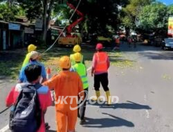 DLH Kabupaten Ponorogo Lakukan Penataan Vegetasi dengan Pemangkasan Pohon di Sepanjang Jalan Soekarno-Hatta