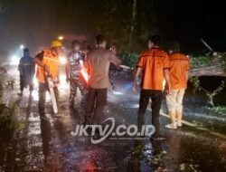 TNI dan Personel Gabungan Evakuasi Pohon Tumbang di Jalan Nasional Trenggalek