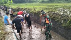 Ketika Harapan Ikut Tumbuh di Antara Air dan Lumpur yang Kembali Mengalir