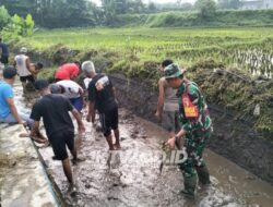 Ketika Harapan Ikut Tumbuh di Antara Air dan Lumpur yang Kembali Mengalir