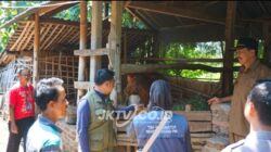 Dinas Pertanian Lakukan Vaksinasi Wehan Ternak, Langkah Setrategis Pencegahan Penyebaran PMK di Ponorogo