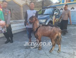 Kapolsek Sukorejo Serahkan Hewan Qurban ke Masjid Al Ibrahim