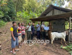 Idul Adha Penuh Kepedulian, Perhutani Salurkan Hewan Qurban untuk Warga Terdampak Longsor
