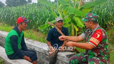 Kisah Babinsa yang Hadirkan Solusi Lewat Sapaan Sederhana
