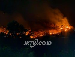 Perhutani Bersama TNI, Polri, BPBD dan Relawan Bergerak Cepat Tangani Kebakaran Hutan di Gunung Wawar