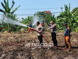 Hadapi Kemarau, Polres Pelabuhan Tanjungperak Siram Lahan Jagung Ketahanan Pangan