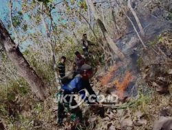 TNI-Polri dan BPBD Trenggalek Berhasil Padamkan Kebakaran Hutan Jati di Gandusari