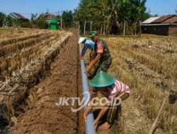 Kemarau Panjang, Babinsa Bantu Petani Penuhi Pasokan Air