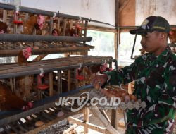 Kompi Produksi, Upaya Kodim Ponorogo Perkuat Ketahanan wilayah Melalui Sektor Pangan