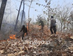Polisi dan Petugas Gabungan Bergerak Cepat, Kebakaran Semak Hutan di Sampung Berhasil Dipadamkan