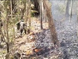 Gerak Cepat, Personel Koramil Campurdarat Padamkan Kebakaran Lahan Perhutani di Desa Pojok